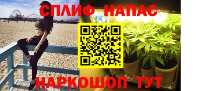 Альфа ПВП Нальчик