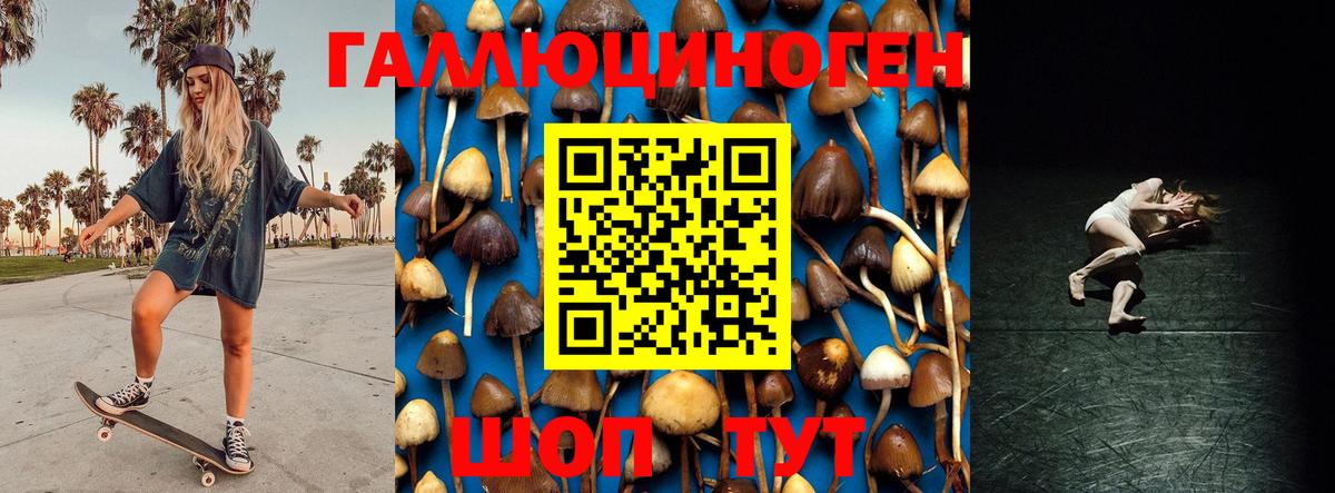 Псилоцибиновые грибы ЛСД Черкесск